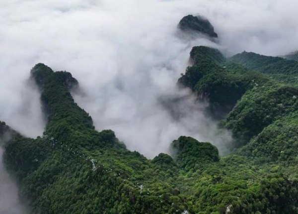 天盈财富 致敬园丁！神农山对教师免门票免索道，错过等一年！
